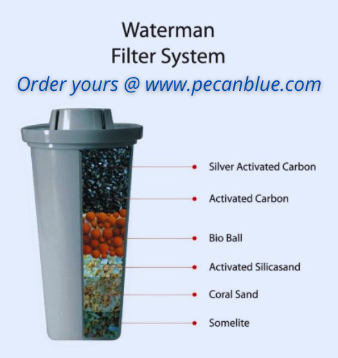 2. The Waterman - Portable solution to safe drinking water